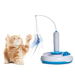 https://familypetusa.com/wp-content/uploads/2024/05/6.Rotating-Cat-toy-300x300.jpg